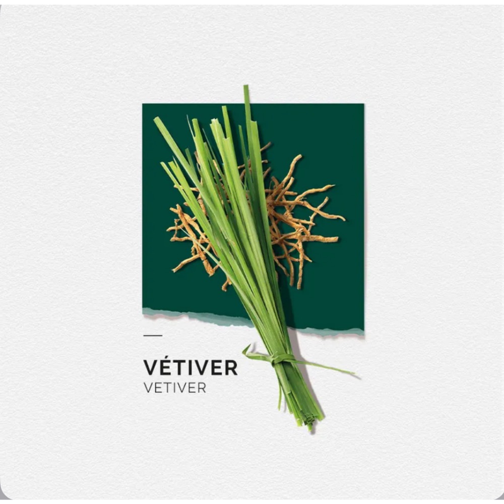 粧田香水Solinotes香水調色盤 香根草 15/50ml（專櫃公司貨）-細節圖2