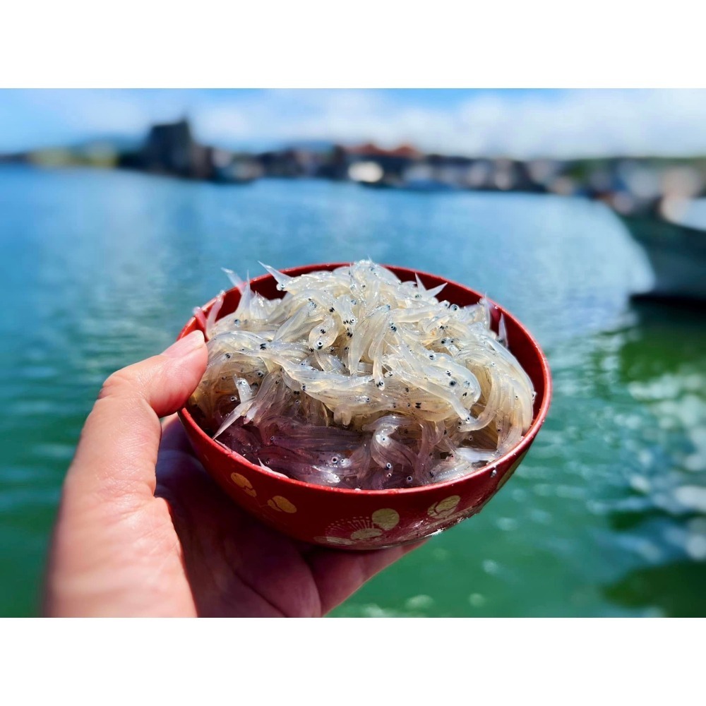 生凍吻仔魚-細節圖3