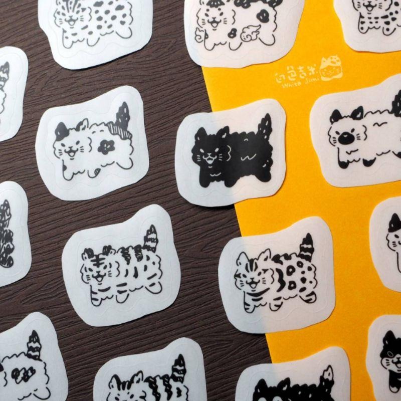 【白色吉米】- 貓貓大炸毛 透明霧膜貼紙-細節圖6