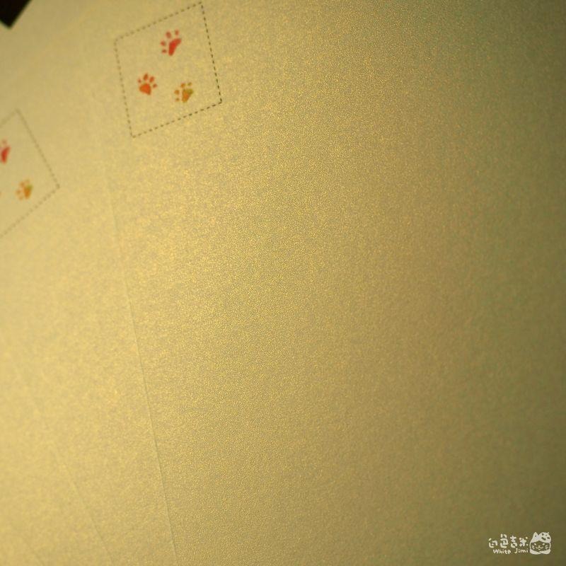 【白色吉米】- 兩隻小老虎 明信片-細節圖6