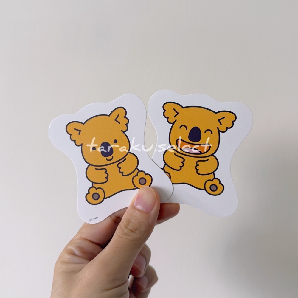 ｜現貨｜小熊餅乾 紙牌 記憶力 遊戲。紙卡 抽鬼牌 日本代購 官方正品 多樂選物-細節圖3