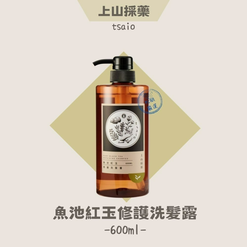 【松鼠得來Thru】上山採藥 Tsaio 茶洗沐 洗髮露 沐浴露 全系列 600ml-細節圖4