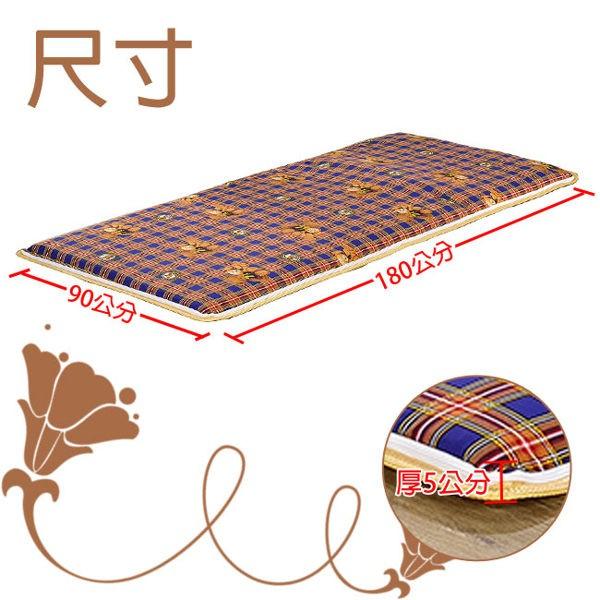 【莫菲思】MIT 竹仁小熊冬夏兩用折疊單人雙人床墊 外宿 學生 摺疊床墊-細節圖6