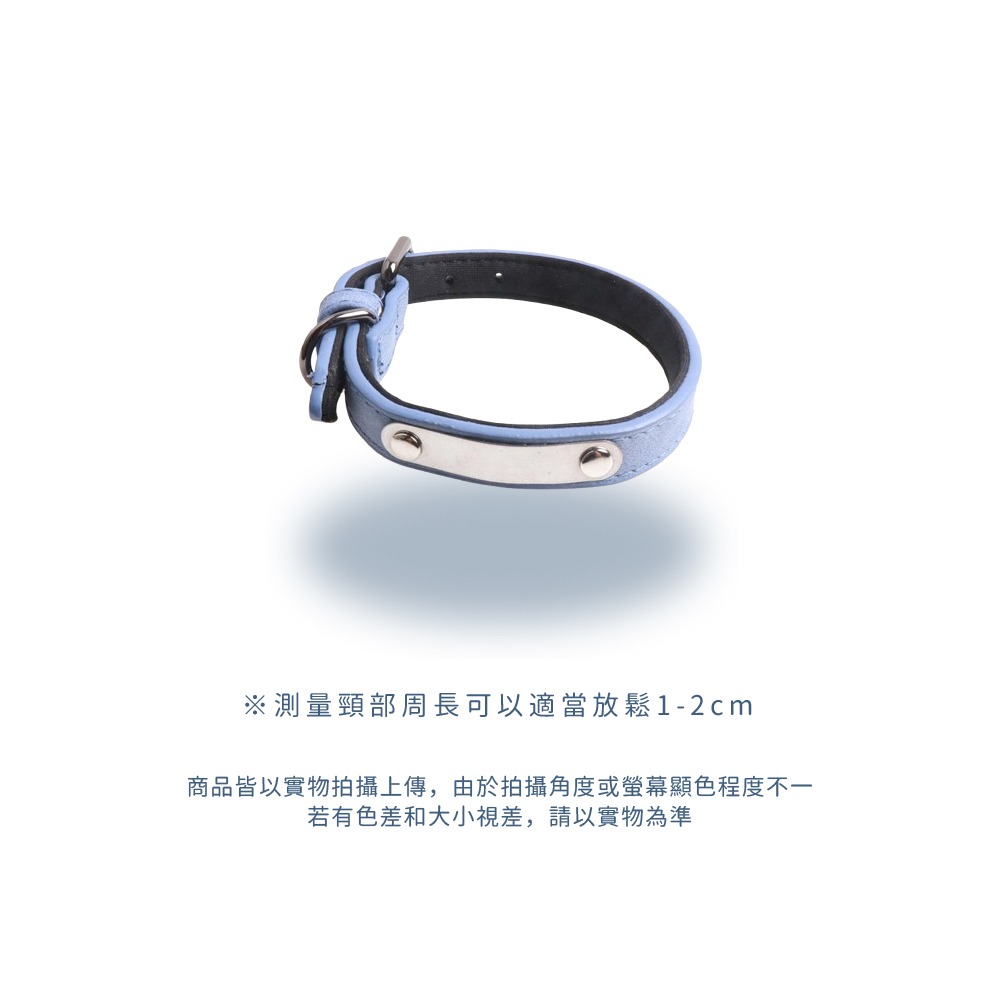 莫菲思｜中型犬大型犬寵物項圈 狗項圈 可調節 免費提供客製化刻字 項圈 狗項圈 狗鍊-細節圖4