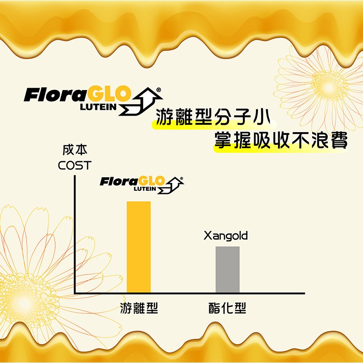 【海吉尼斯】露丁營養強化配方膠囊 30顆(黃金比例5比1+鋅)-細節圖5