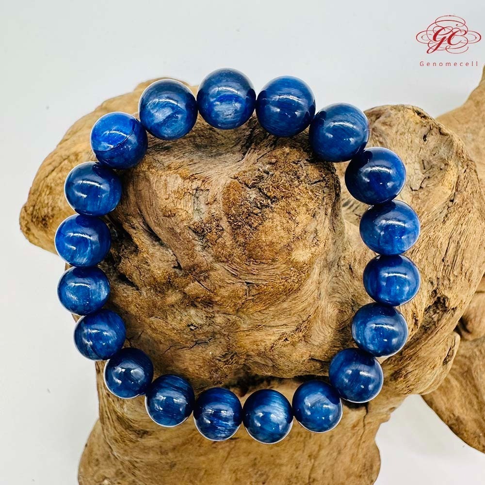 【肌容雪】藍晶石單圈手串 編號B46-細節圖2