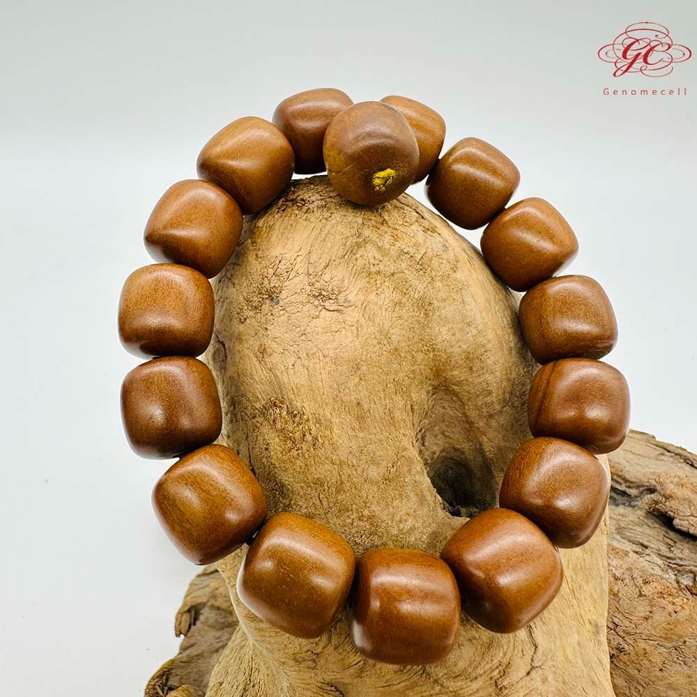 【肌容雪】雷擊木單圈手串 編號B48-細節圖2