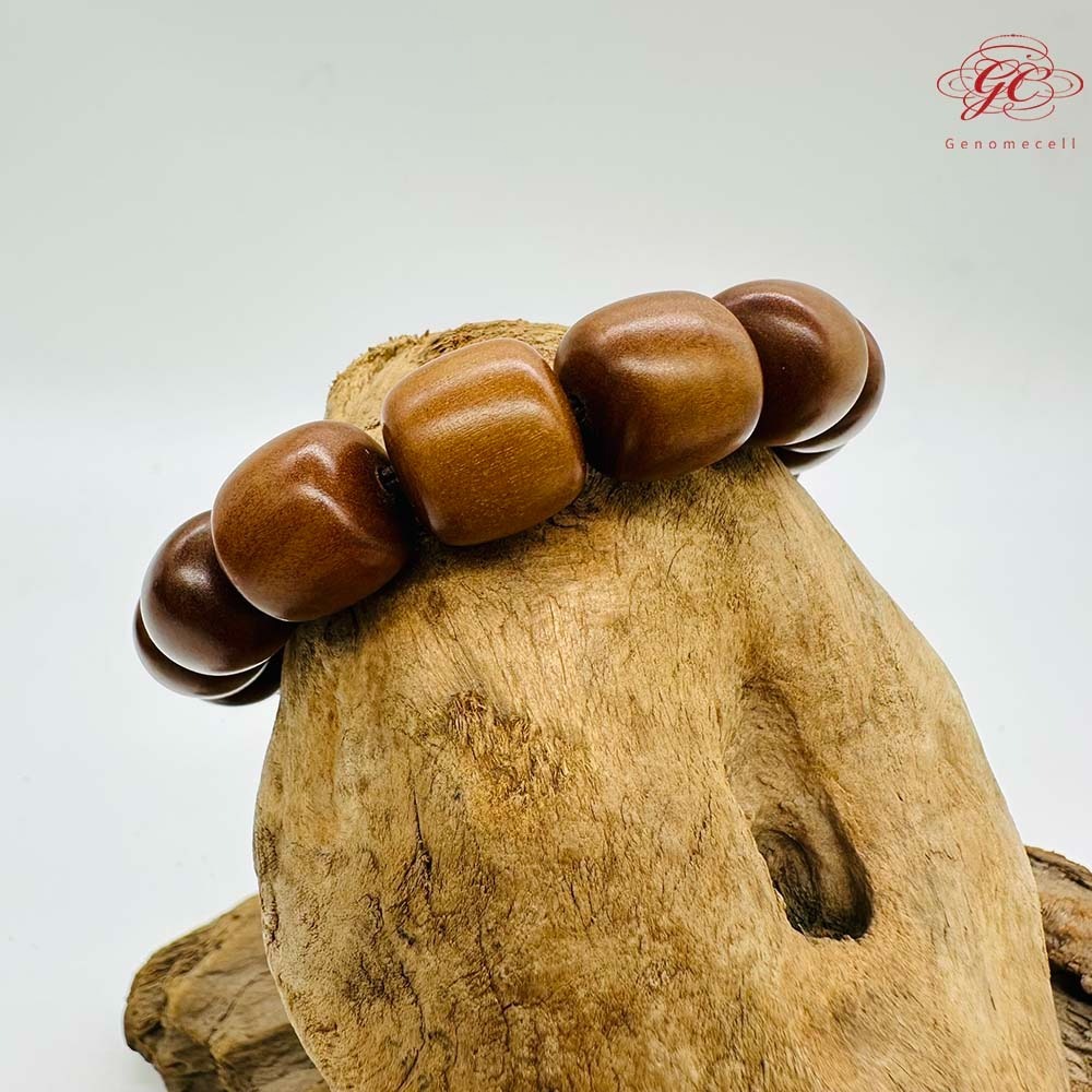 【肌容雪】雷擊木單圈手串 編號B48-細節圖3