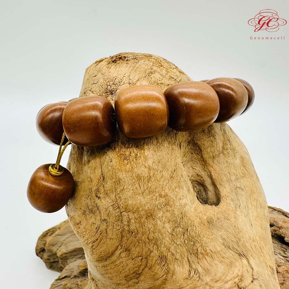 【肌容雪】雷擊木單圈手串 編號B48-細節圖4