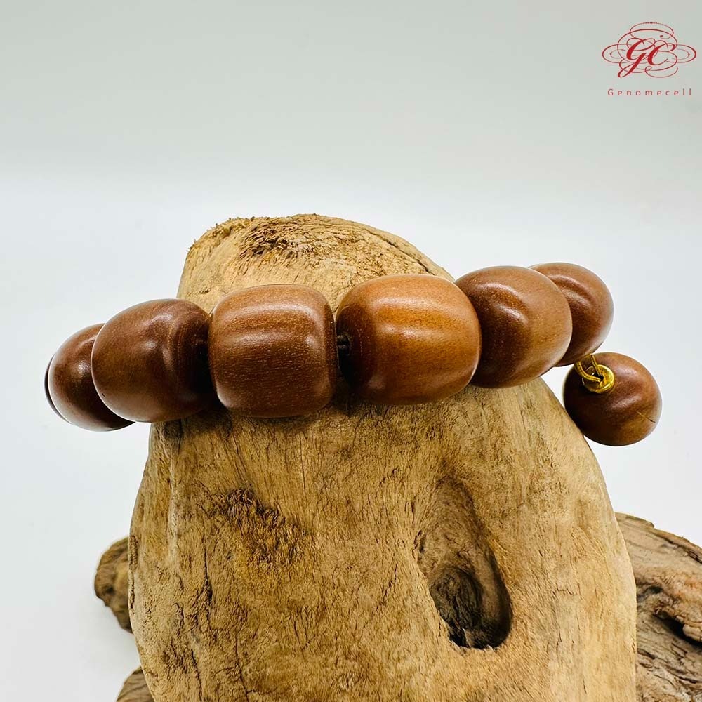 【肌容雪】雷擊木單圈手串 編號B48-細節圖5