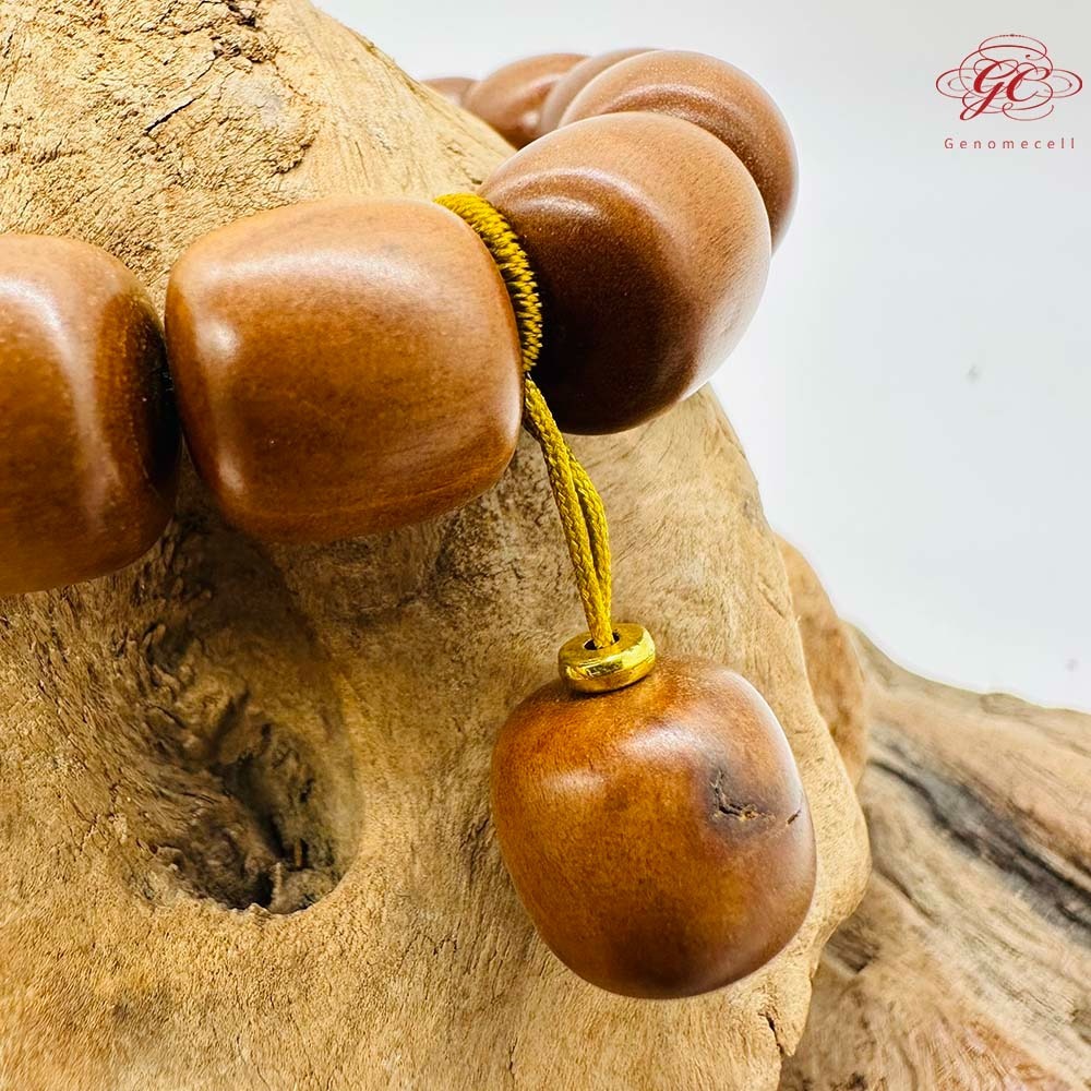 【肌容雪】雷擊木單圈手串 編號B48-細節圖6