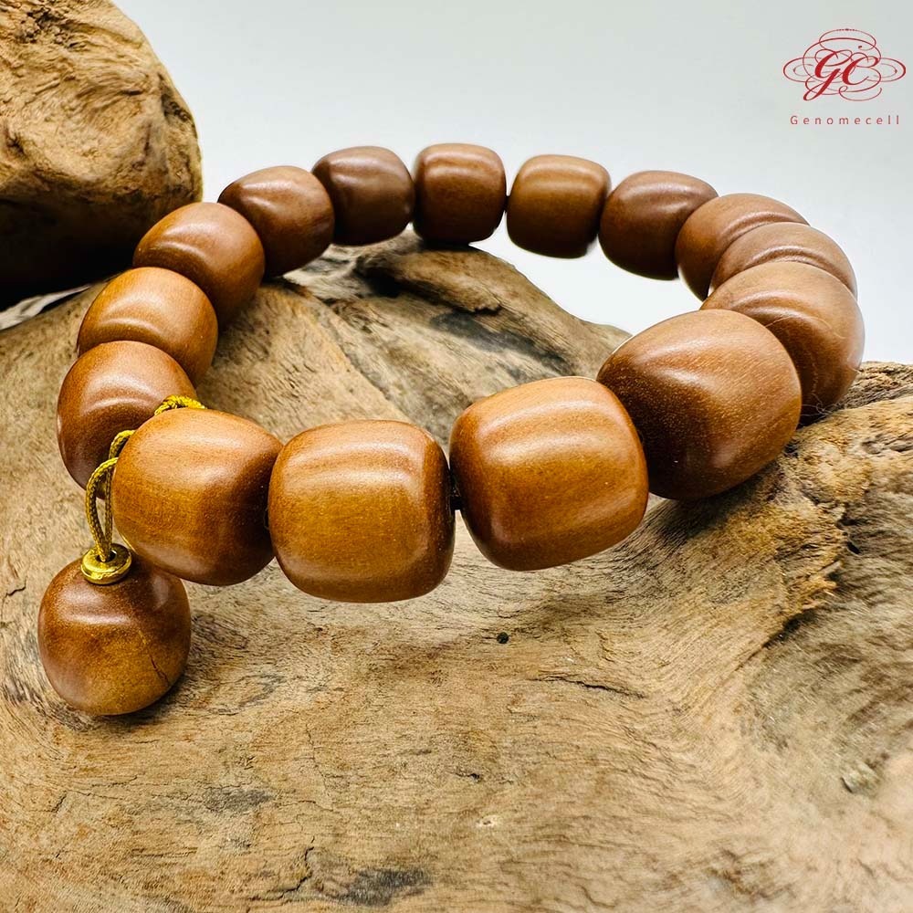 【肌容雪】雷擊木單圈手串 編號B48-細節圖8