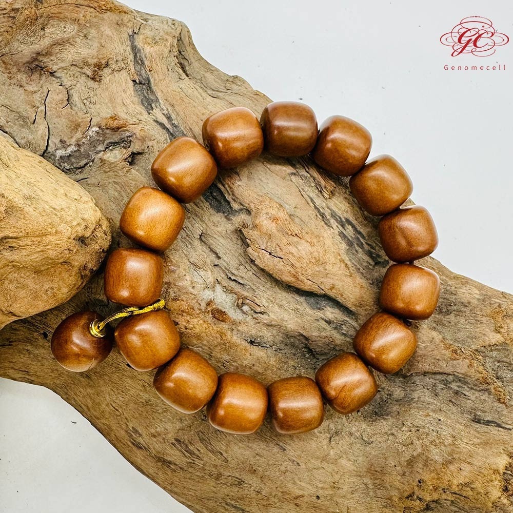 【肌容雪】雷擊木單圈手串 編號B48-細節圖9