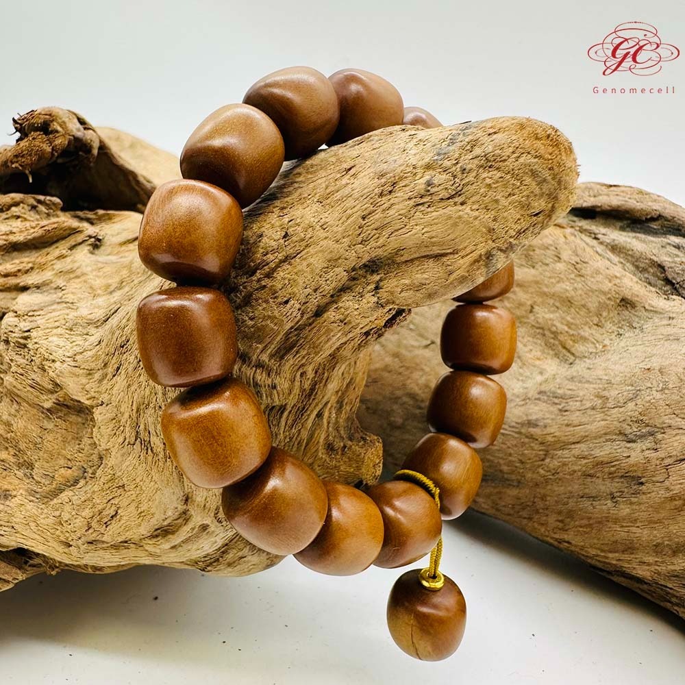 【肌容雪】雷擊木單圈手串 編號B48-細節圖10