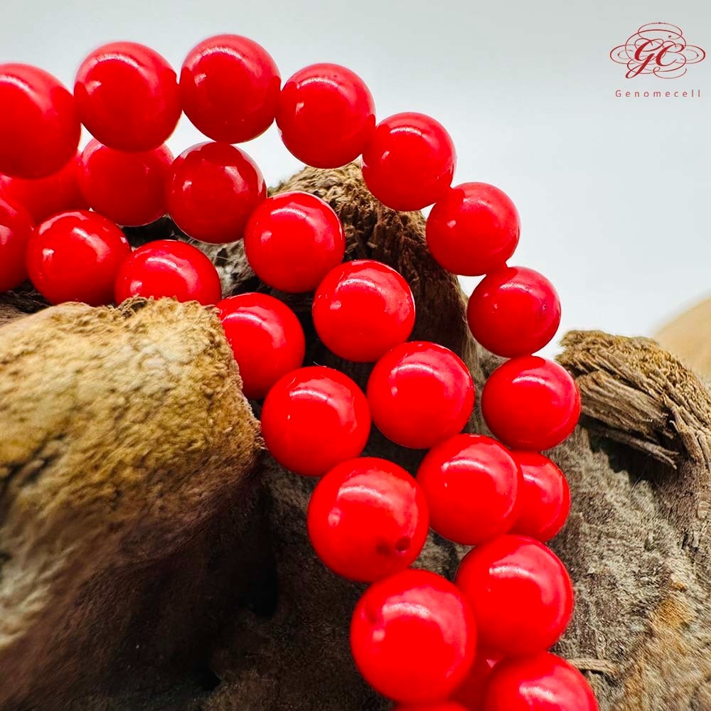 【肌容雪】紅色琁玉瑤珠多圈珠鍊 編號B58-細節圖8