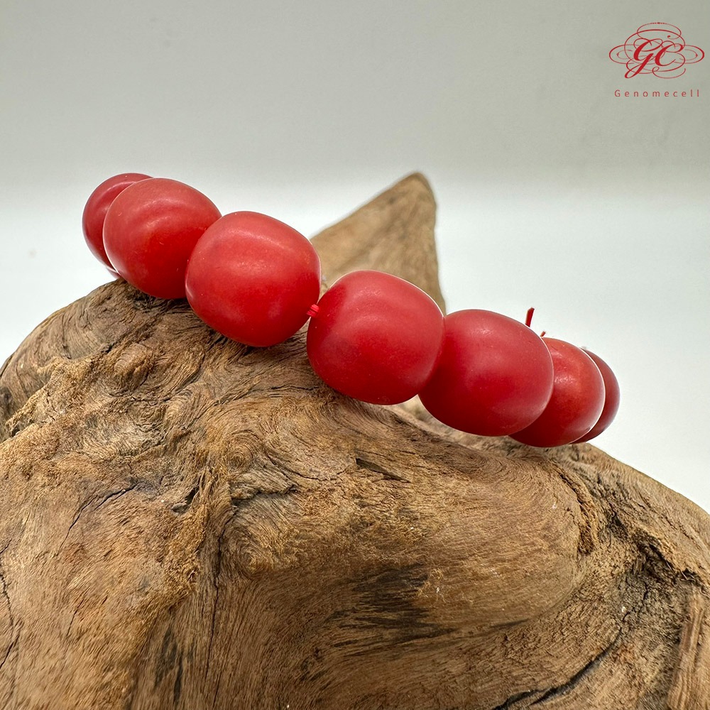 【肌容雪】硃砂單圈手串 編號C21-細節圖2