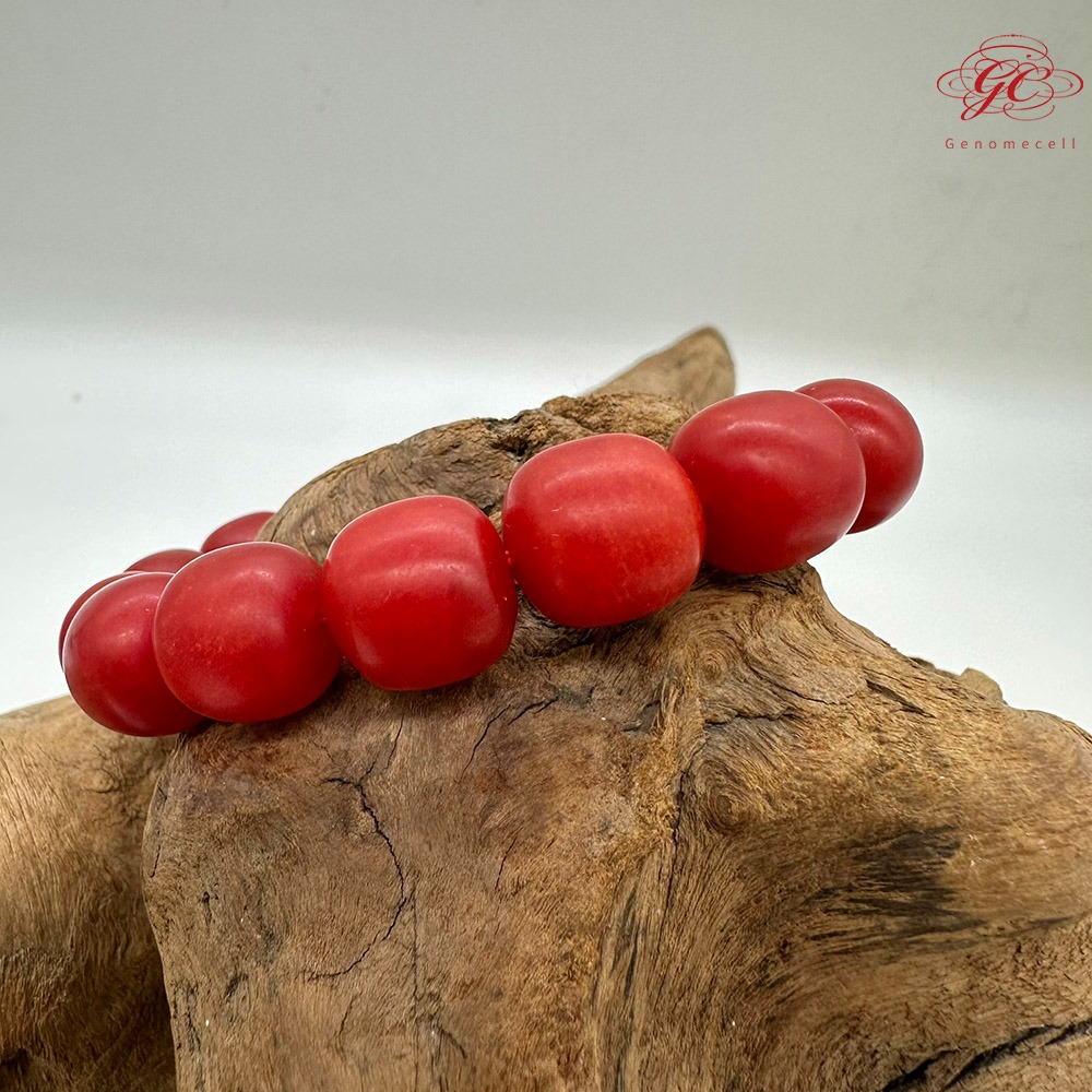 【肌容雪】硃砂單圈手串 編號C21-細節圖3