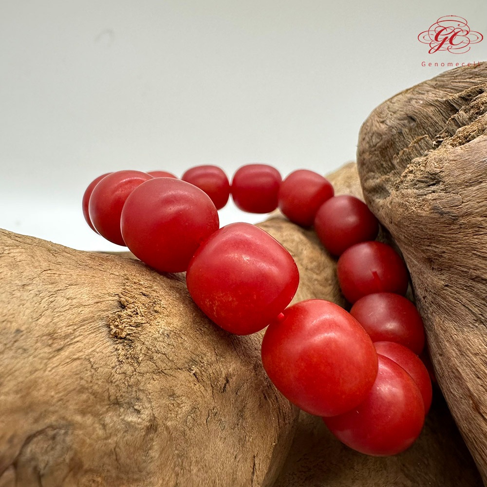 【肌容雪】硃砂單圈手串 編號C21-細節圖5