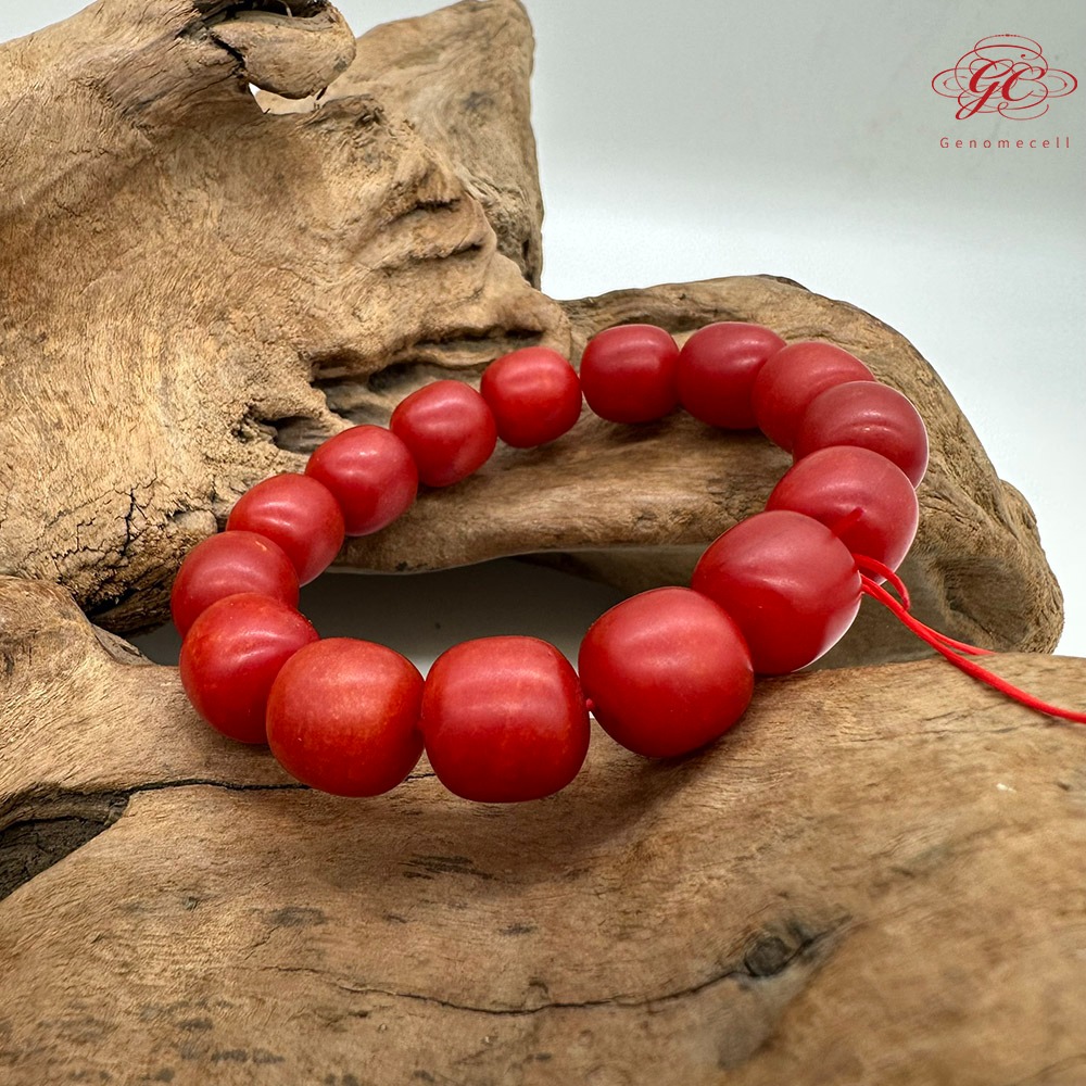 【肌容雪】硃砂單圈手串 編號C21-細節圖8