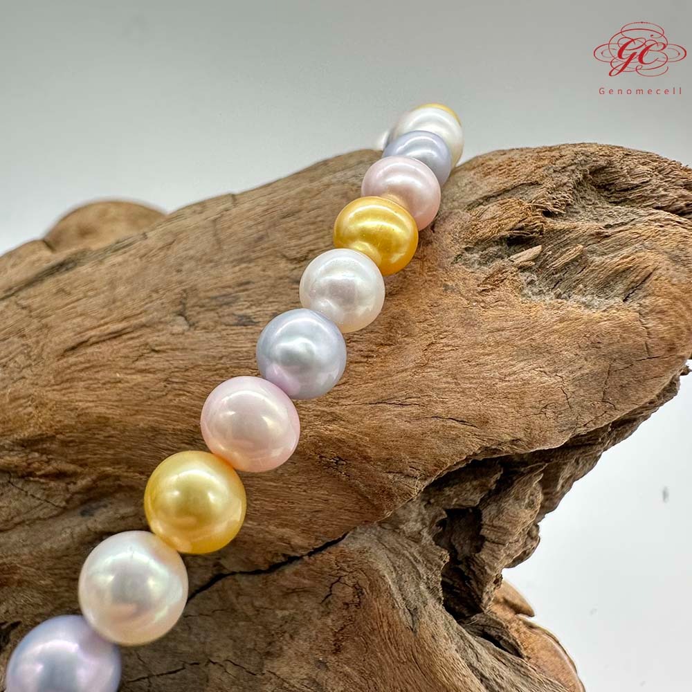 【肌容雪】天然多彩珍珠金色蝴蝶結造型扣頭鎖骨鍊附收納盒 編號P53-細節圖5