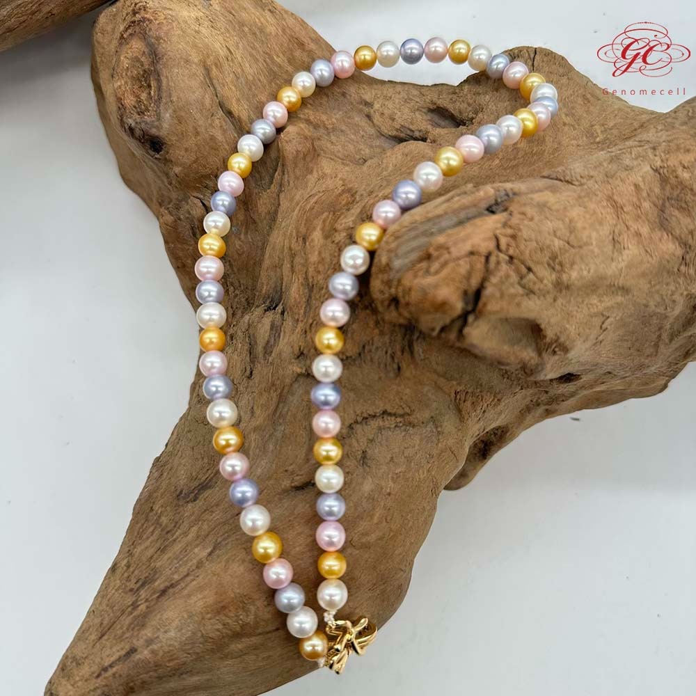 【肌容雪】天然多彩珍珠金色蝴蝶結造型扣頭鎖骨鍊附收納盒 編號P53-細節圖8