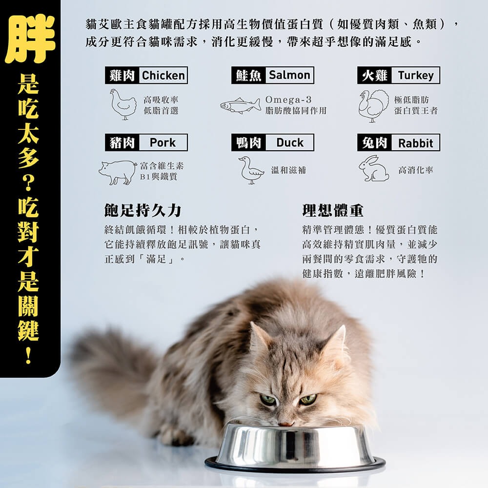 ❤️毛孩食堂❤️超級博士貓艾歐｜低磷無穀主食貓罐150g｜Dr. Elsey＇s 主食罐 無穀罐 純淨蛋白質-細節圖2