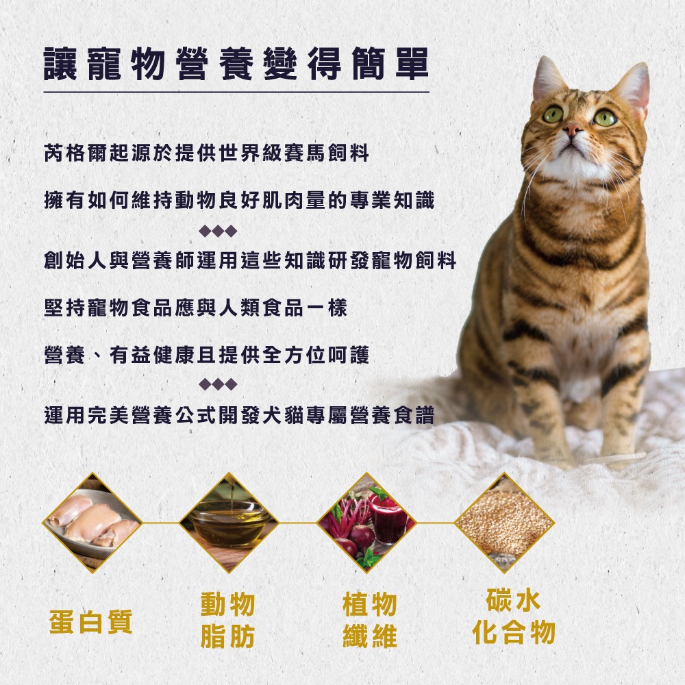 ❤️毛孩食堂❤️美國進口 芮格爾天然貓飼料 幼貓 成貓 室內貓 熟齡貓 高粱 皮毛保健 DHA-細節圖2