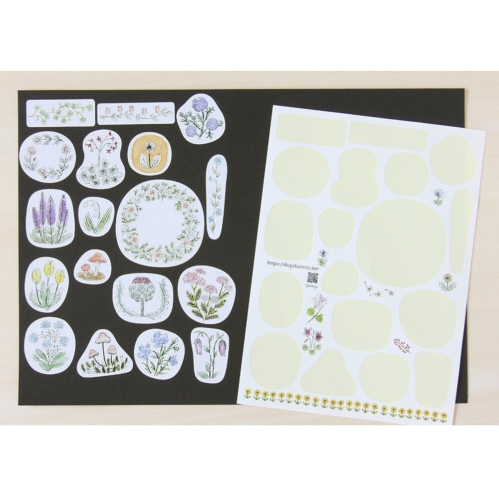 *激動小鹿*<現貨>日本 4Legs 日本插畫家 水彩畫貼紙 花 動物 貓 鳥 日本製貼紙-細節圖5