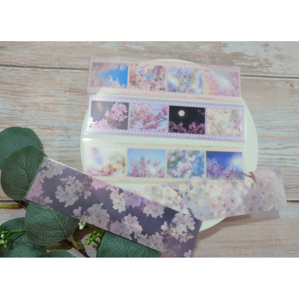 *激動小鹿*<現貨>日本進口 amifa 貼紙 131666 櫻花 底片造型 PET&描圖紙貼紙 長條型貼紙-細節圖3