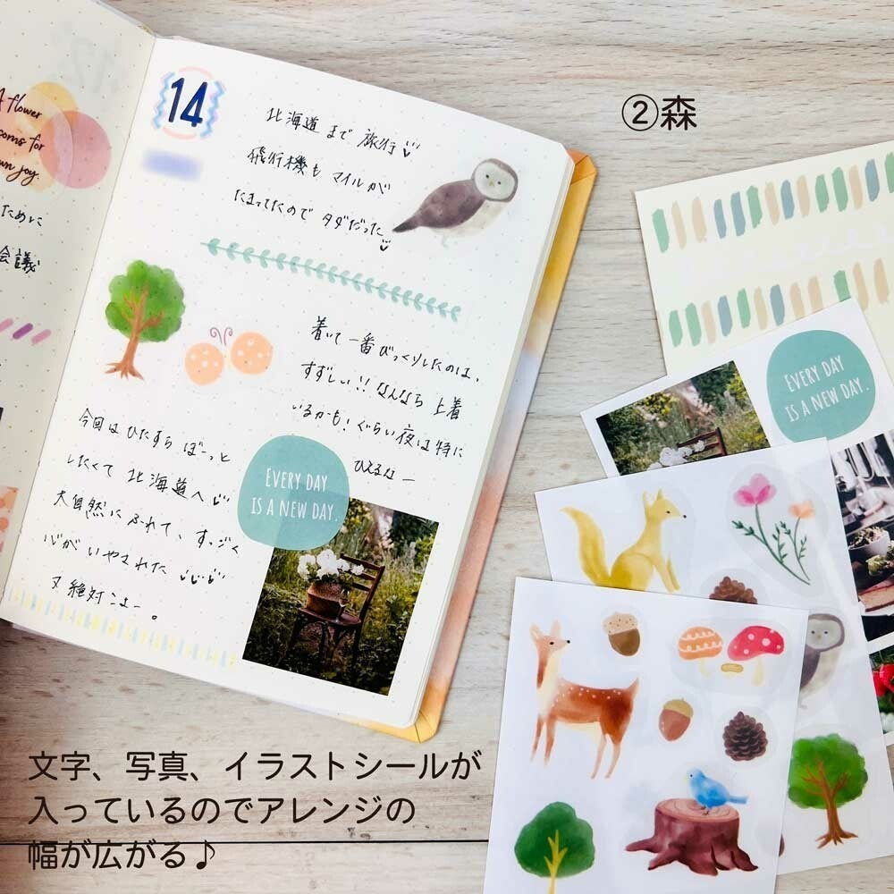 *激動小鹿*<現貨>日本 Pine book 貼紙 裝飾貼紙套組 每組八張貼紙 手帳貼紙 日本製-細節圖3