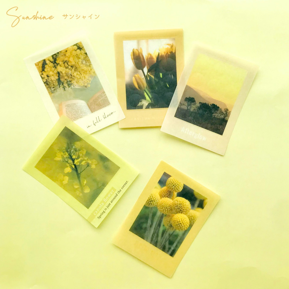 *激動小鹿*<現貨>日本 hapila 3 way 多用途 貼紙包 拼貼貼紙包 第二彈 新色 日本進口-細節圖7