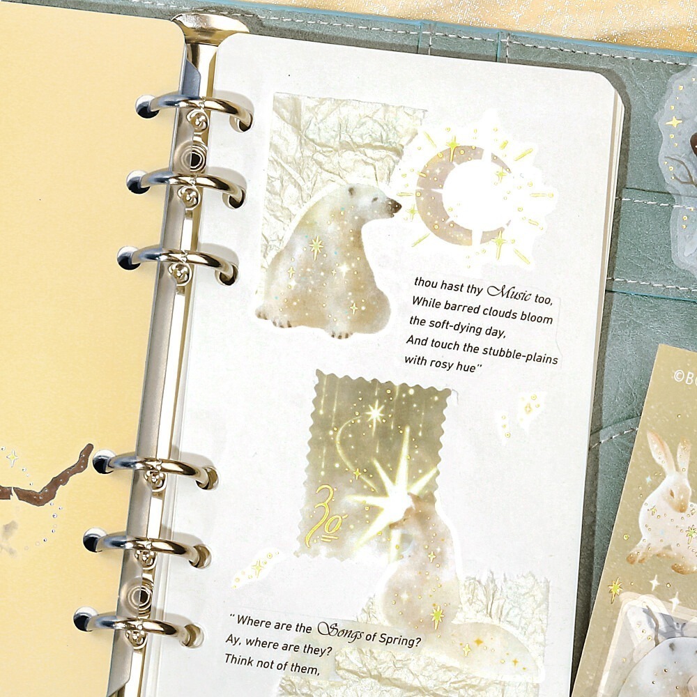 *激動小鹿*<現貨>日本 BGM pet 貼紙包 星塵魔法第二彈 系列 BGM貼紙 2025年新品貼紙-細節圖8