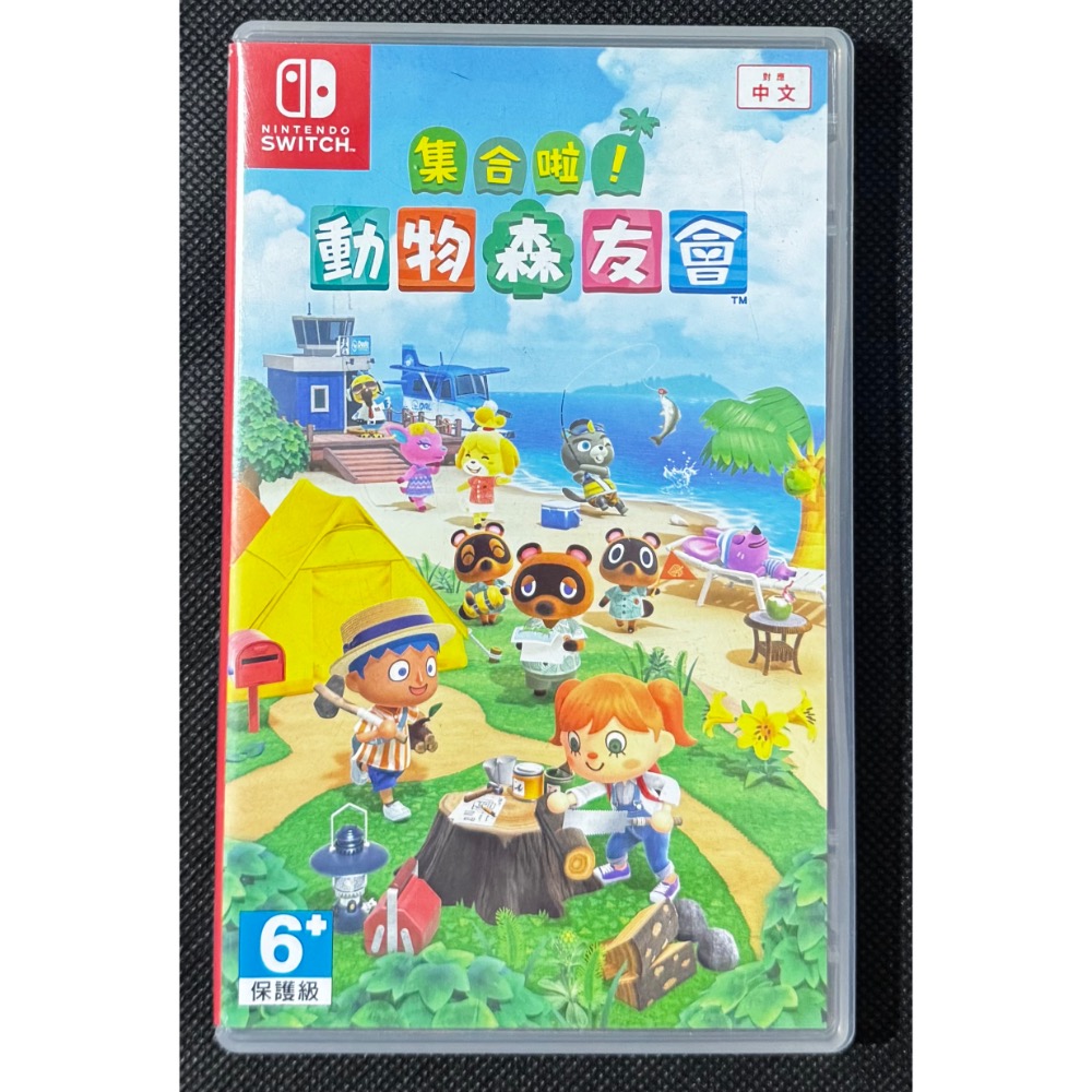 🕹️【祥祥NS/PS電玩】NS Switch 集合啦！動物森友會-細節圖2