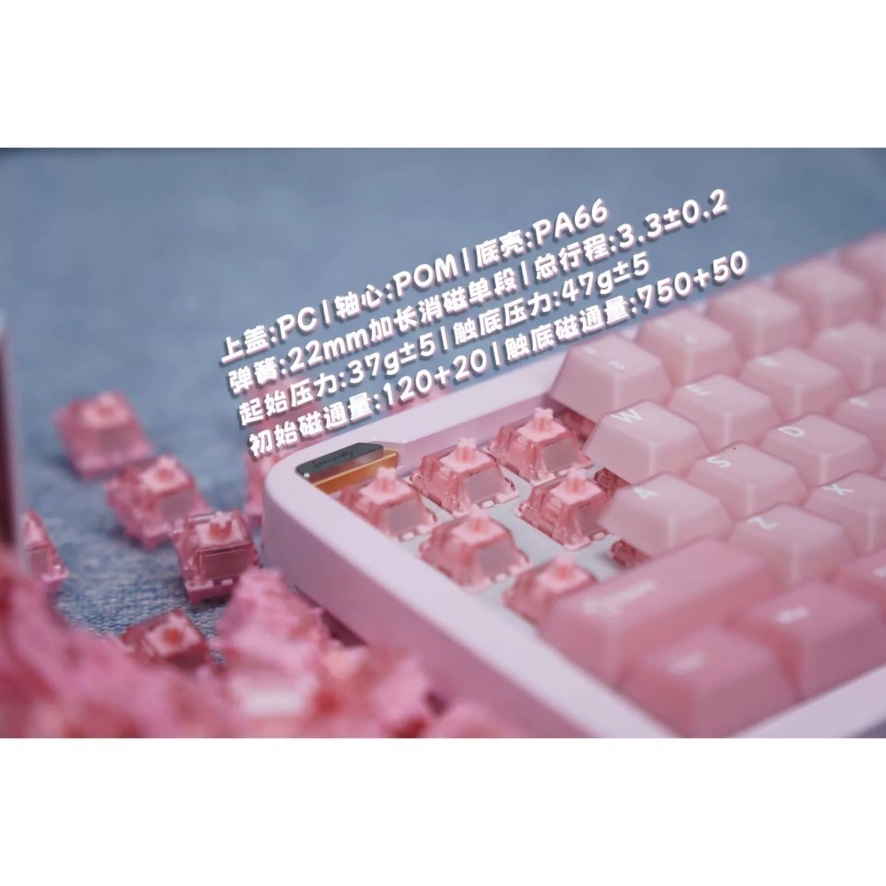 錦雲外設 錦鯉磁軸 koi hall switch-細節圖2