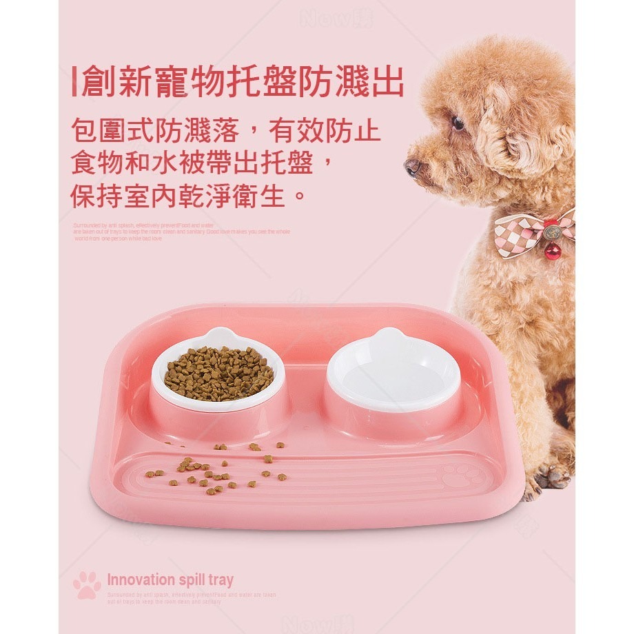 現貨 寵物碗 貓咪用品 泰迪狗碗 貓碗 雙碗 環保防濺食盆 寵物用品 斜口碗 寵物碗 寵物食盆 貓餐墊 幼貓幼狗碗-細節圖3