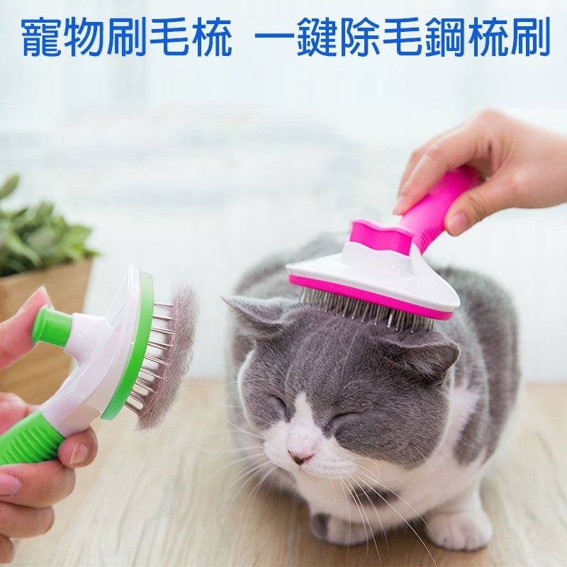 現貨 寵物梳毛鋼刷 退毛圓珠針梳 一鍵除毛 梳毛按摩兩用 除梳毛 除梳毛 脱毛梳 寵物 貓咪 狗狗 除毛神器-細節圖3