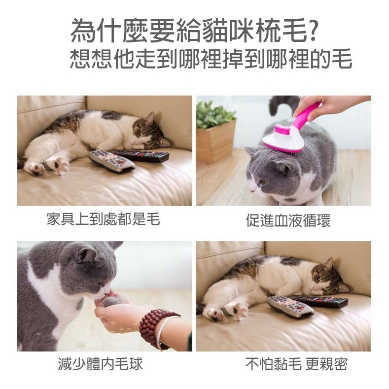 現貨 寵物梳毛鋼刷 退毛圓珠針梳 一鍵除毛 梳毛按摩兩用 除梳毛 除梳毛 脱毛梳 寵物 貓咪 狗狗 除毛神器-細節圖6