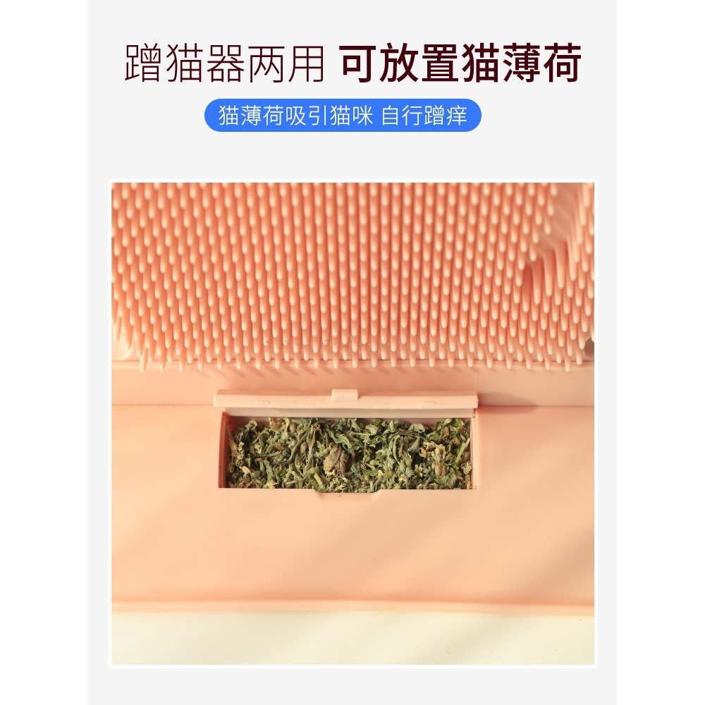 台灣出貨 新款固定門縫貓咪蹭毛器 除毛止癢按摩刷貓貓蹭癢刷 梳毛刷蹭毛器 門下蹭毛器 貓咪抓癢 寵物貓用按摩牆 牆角-細節圖4