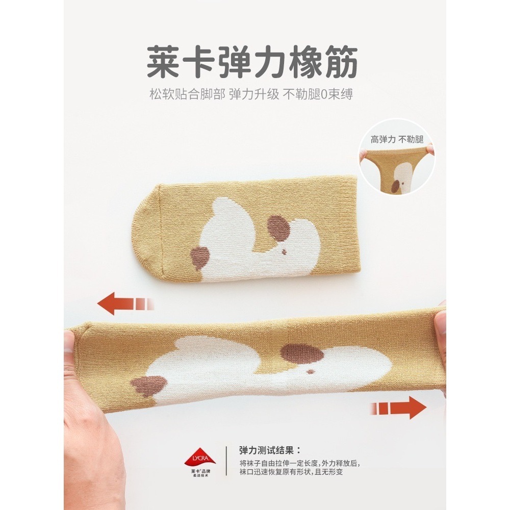 動物寶寶襪 嬰兒加厚毛圈襪 學步襪 加絨加厚襪子 貂絨寶寶襪 中筒襪 兒童襪子 新生兒襪-細節圖3