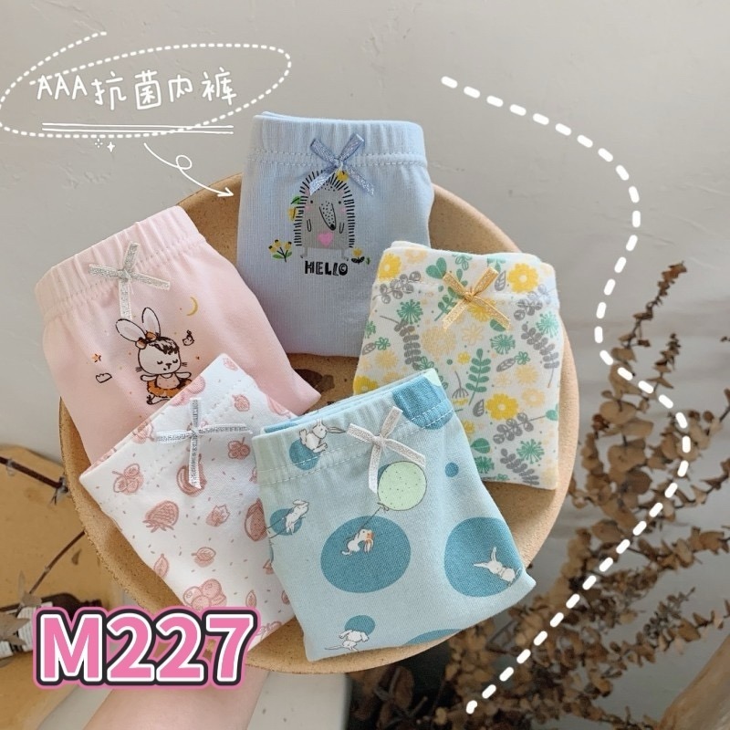 預購.平口褲－女童-規格圖11