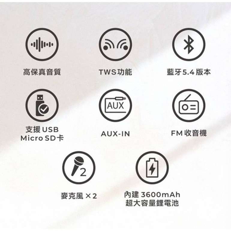 🎤 隨時開唱【日本AIWA愛華】藍芽K歌音響 (可刪除人聲/雙麥克風)是音響也是KTV~外出旅遊帶著走-細節圖5
