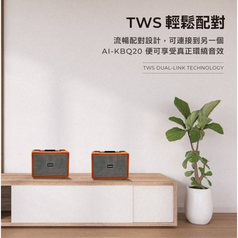 🎤 隨時開唱【日本AIWA愛華】藍芽K歌音響 (可刪除人聲/雙麥克風)是音響也是KTV~外出旅遊帶著走-細節圖8