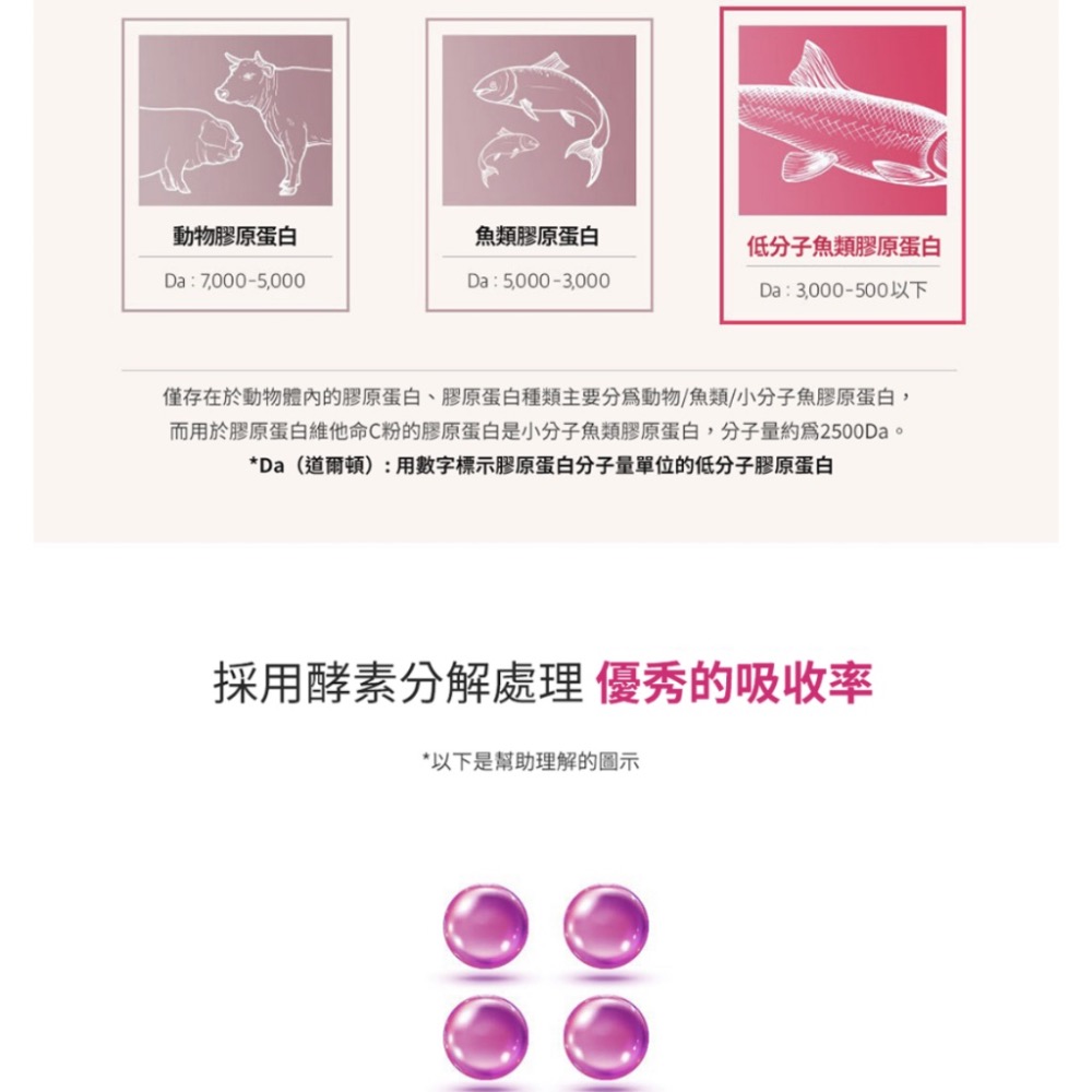 LEMONA 粉罐 加強版~膠原蛋白維他命C粉 60入-細節圖6