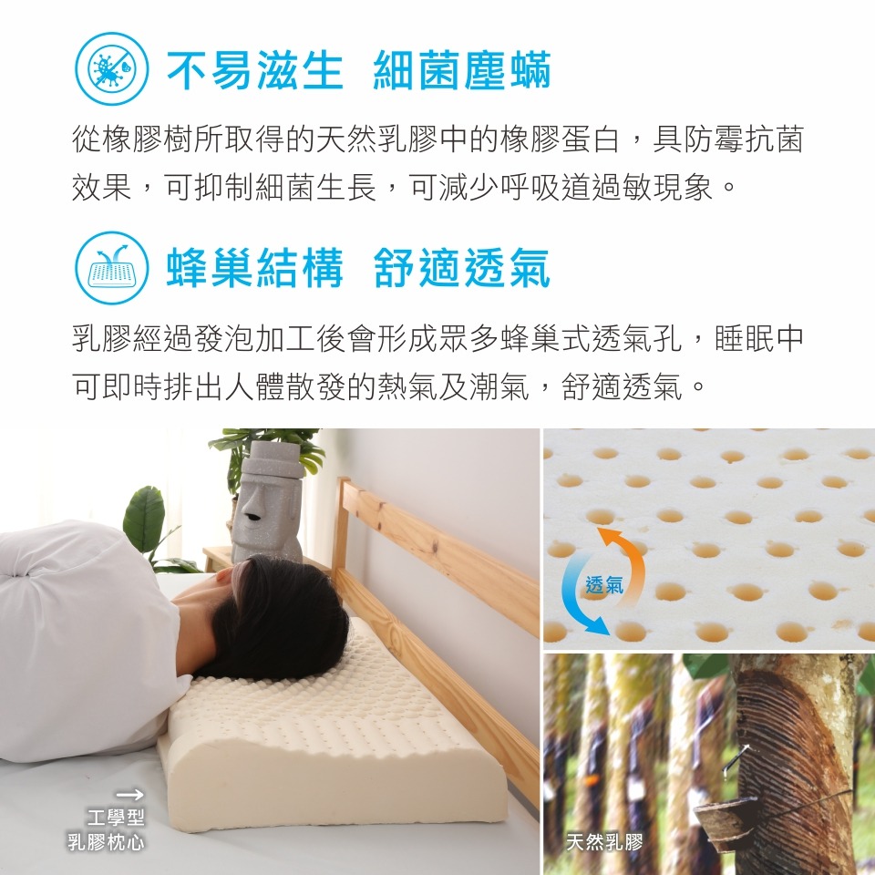 乳膠枕 枕頭 涼感枕 好睡枕 ( 涼感乳膠Q彈枕 )透氣 舒眠枕 恐龍先生賣好貨-細節圖5