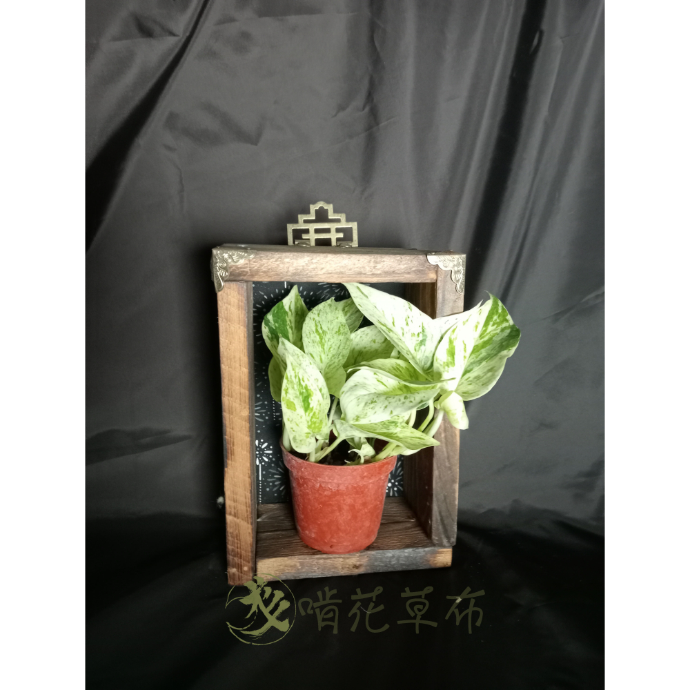 置物架/手作裝飾框-細節圖2