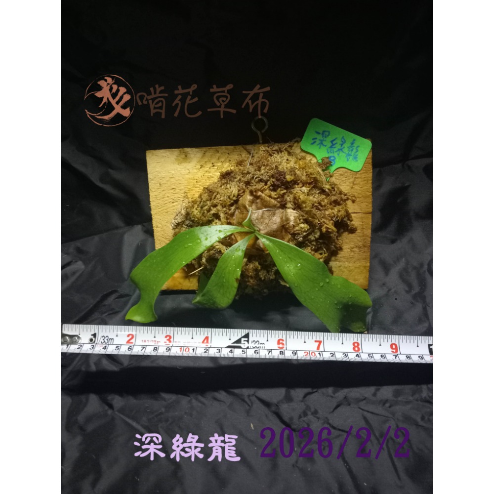 小板