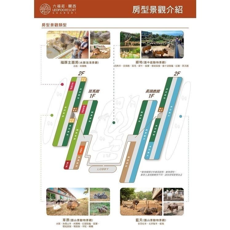 平日升等藍天樓中樓(瑪利歐送非洲探險島)關西六福莊 墓碑鎮開跑『剛果藍天住宿+4客早餐+4份雙日六福村+飲料背帶』-細節圖8