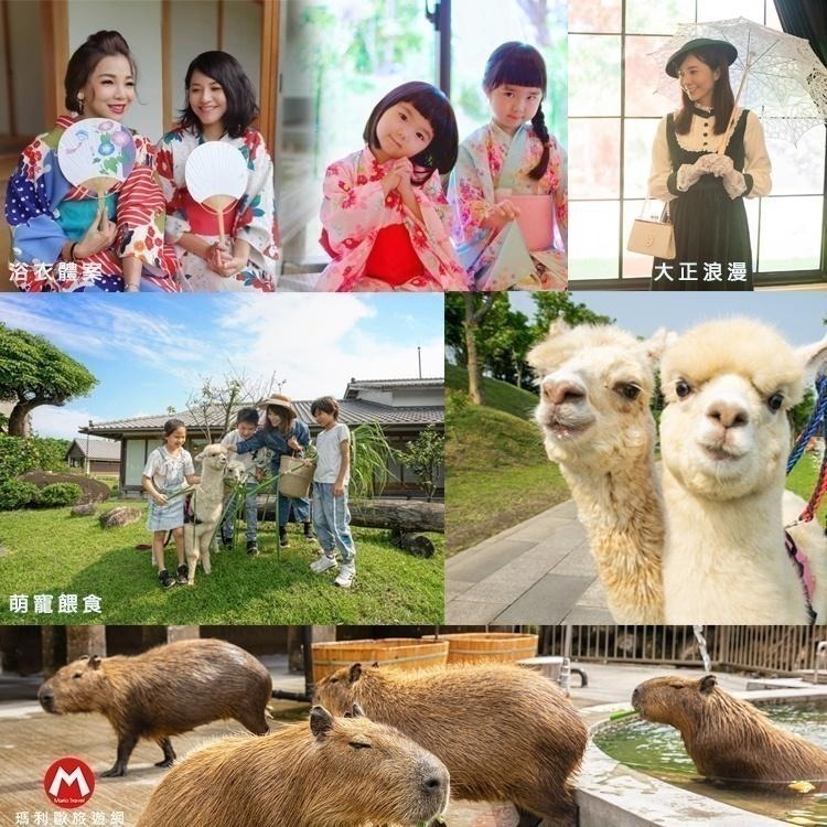 送1位小孩含餐加床！定點式旅遊(限量升等海景)宜蘭綠舞國際觀光飯店【雙人房入住含早餐+送浴衣+滑索+消夜+日式遊園】-細節圖8