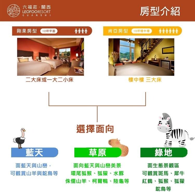 【草原歷險/美洲野牛】(瑪利歐近距離動物互動)新竹關西六福莊『各房型』2~4人住宿含早+晚餐+六福村2日門票+非洲探險島-細節圖7