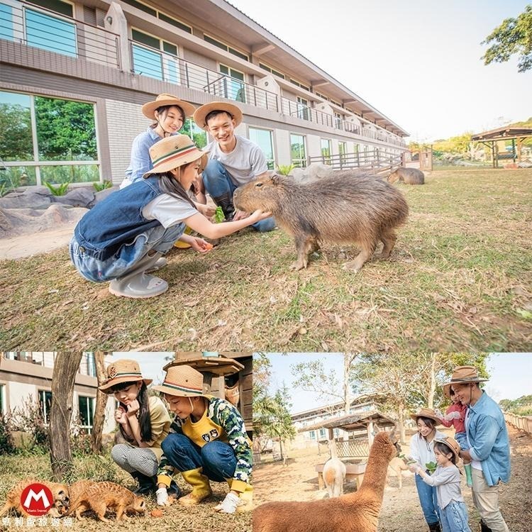 新設施！非洲探險島(瑪利歐)關西六福莊~全台唯一動物生態飯店『剛果藍天2~4人房住宿含早餐+晚餐+2日六福村票+館內活動-細節圖8